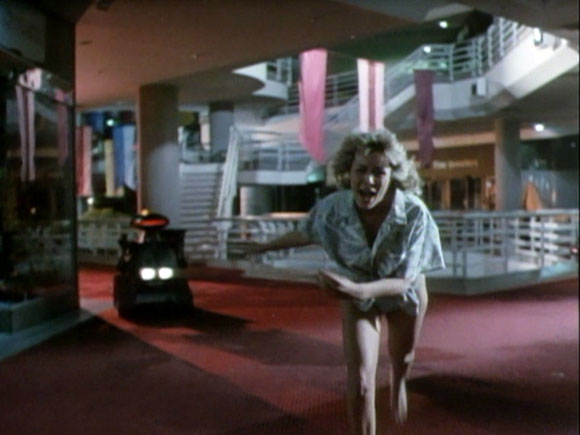 Chopping Mall (1986)