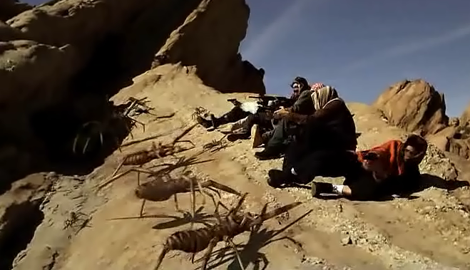 Camel Spiders