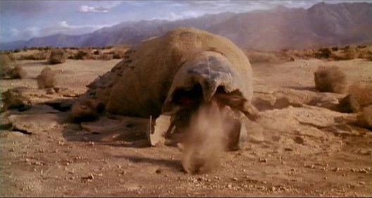 Tremors