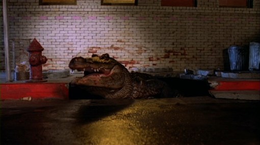 Alligator Written by John Sayles
