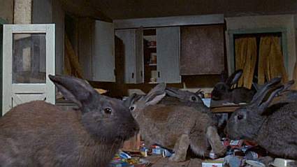 Night Of The Lepus