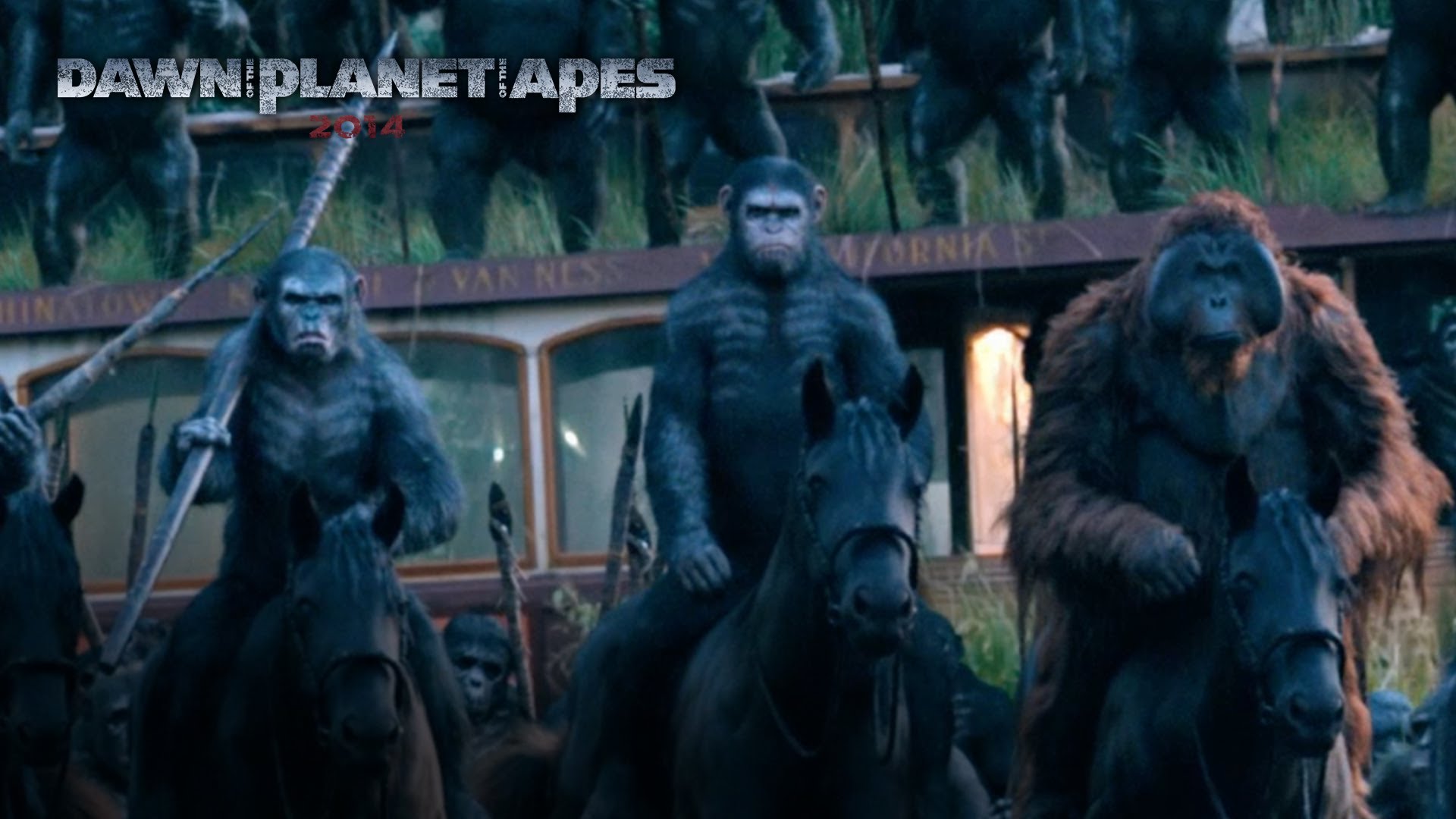A Taste Of Ape