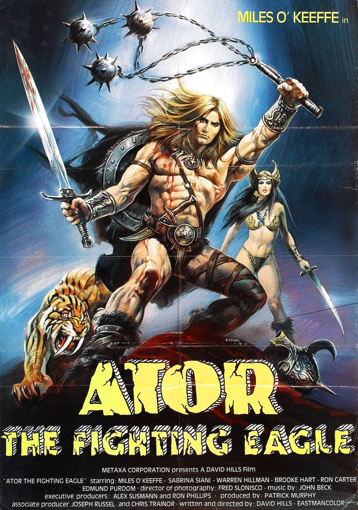 Ator, the Fighting Eagle (1982)