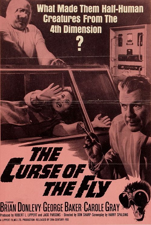 Curse of the Fly (1965)
