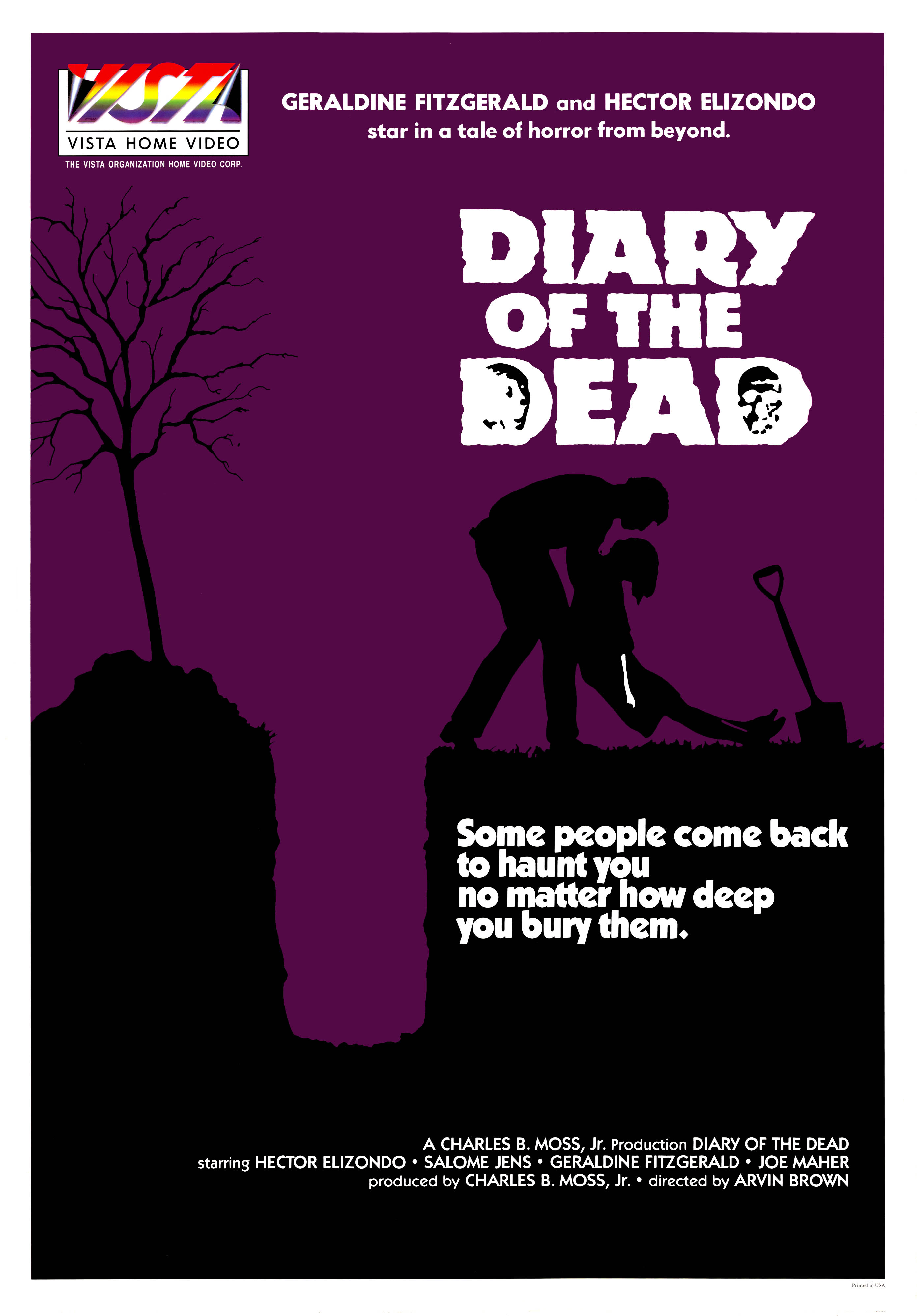 Diary of the Dead (2007)