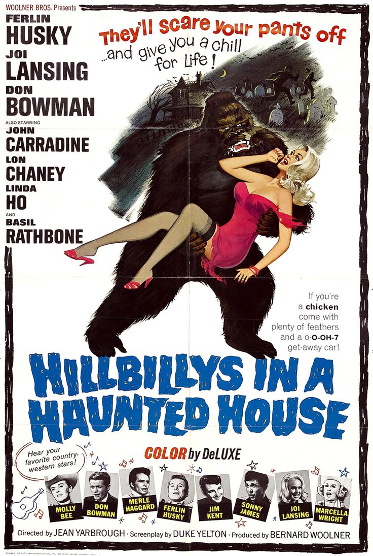 Hillbillys in a Haunted House (1967)
