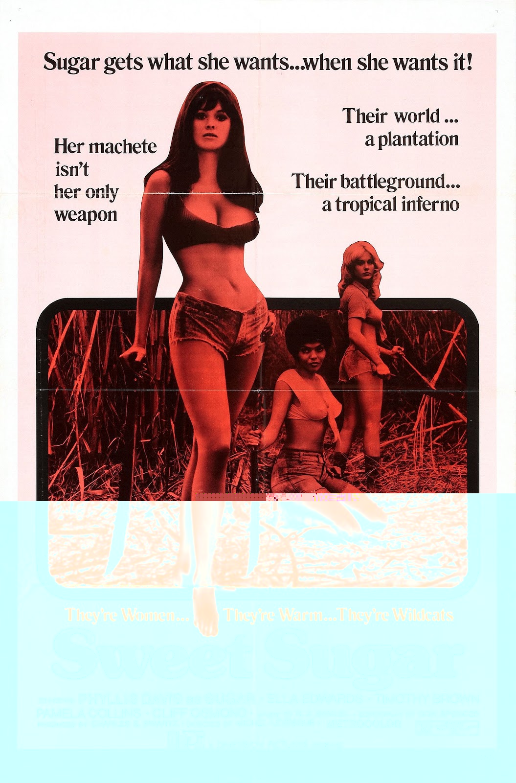 Sweet Sugar (1972)