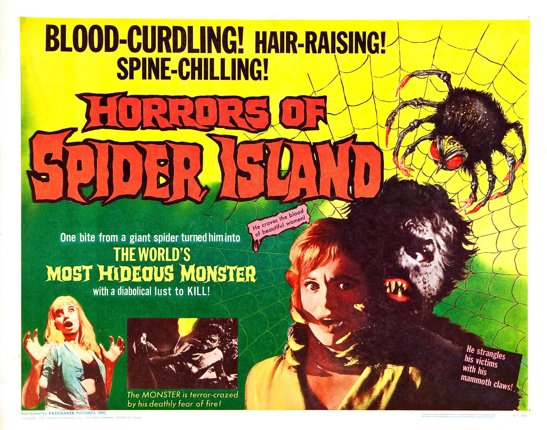 Body in the Web (1960)