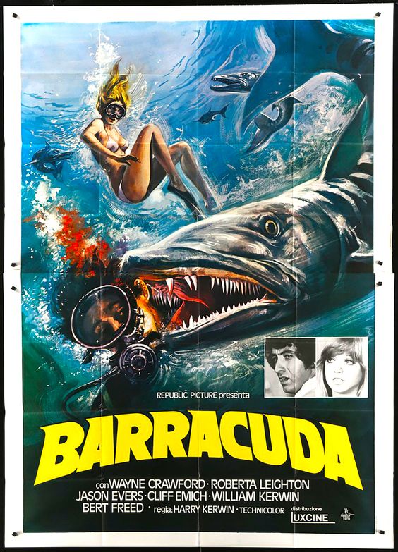 Barracuda (1978)
