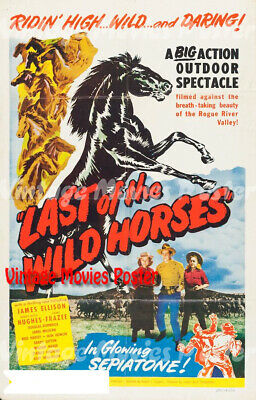 Last of the Wild Horses (1948)